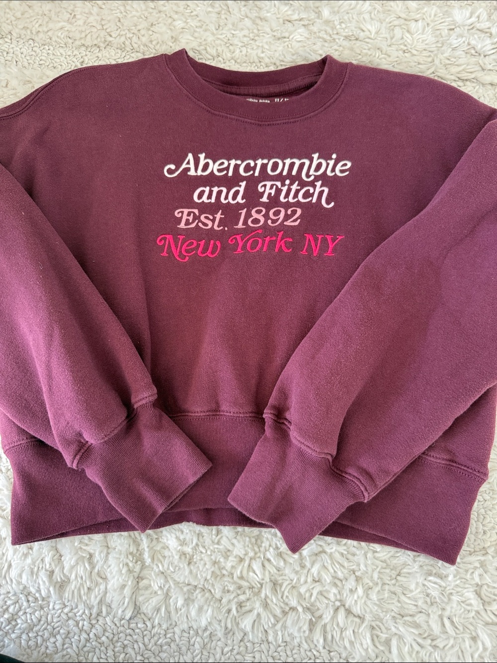 Abercrombie & Fitch Girls 11/12 Plum Crewneck Sweatshirt with Embroidered Text